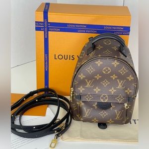 Louis Vuitton Palm Spring Monogram Mini Backpack